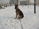 OLEXANDER
